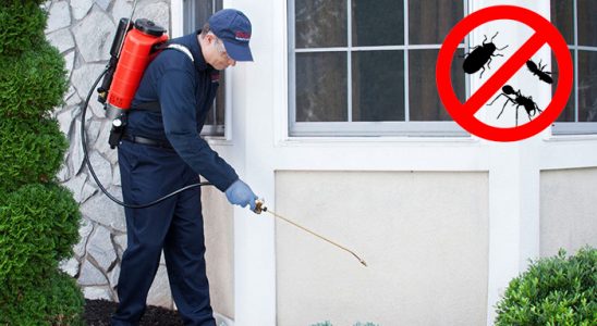 Alucra Böcek İlaçlama böcek ilaçlama ve haşere kontrolü — ilaclama-tr.com
